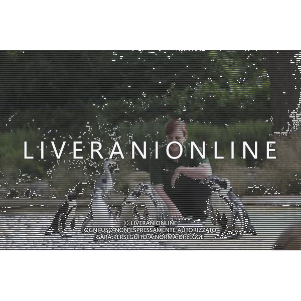 Zookeeper Vicky Fyson, at ZSL London Zoo, weighs and measures penguins during the zoo\'s annual weigh-in on August 22, 2012 in London, England. The height and mass of every animal in the zoo, of which there are over 16,000, needs to be recorded. The measurements are collated in the Zoological Information Management System, from which zoologists can use the data to compare information on thousands of endangered species. ©photoshot/AGENZIA ALDO LIVERANI SAS - ITALY ONLY - Annuale operazione di pesatura e misurazione degli animali dello zoo di Londra 22 agosto 2012, Inghilterra necessario per essere registrati. Le misure sono raccolte nel sistema zoologico di gestione delle informazioni, per confrontare i dati su migliaia di specie in via di estinzione.