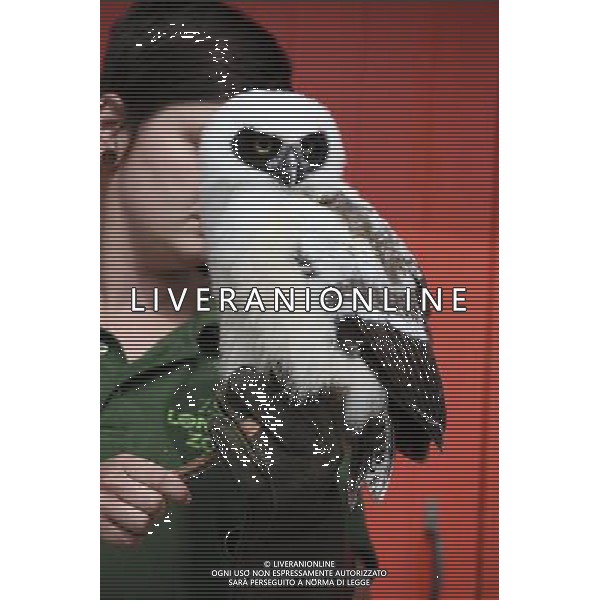 \'Elton\' the spectacled owl is weighed and measured during ZSL London Zoo\'s annual weigh-in on August 22, 2012 in London, England. The height and mass of every animal in the zoo, of which there are over 16,000, needs to be recorded. The measurements are collated in the Zoological Information Management System, from which zoologists can use the data to compare information on thousands of endangered species. ©photoshot/AGENZIA ALDO LIVERANI SAS - ITALY ONLY - Annuale operazione di pesatura e misurazione degli animali dello zoo di Londra 22 agosto 2012, Inghilterra necessario per essere registrati. Le misure sono raccolte nel sistema zoologico di gestione delle informazioni, per confrontare i dati su migliaia di specie in via di estinzione.