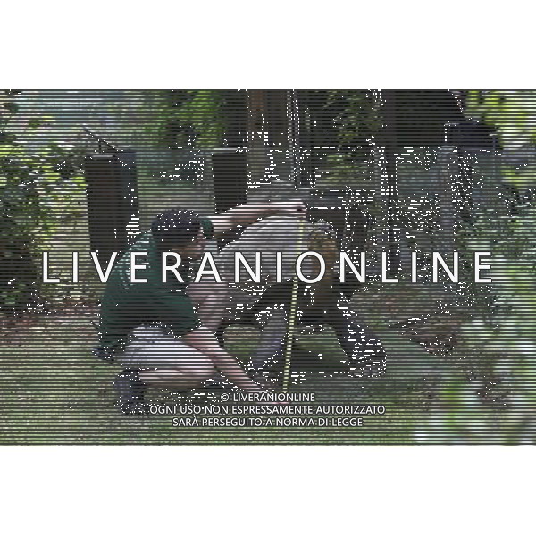 Zookeeper Grant Kother, at ZSL London Zoo, weighs and measures a giant tortoise during the zoo\'s annual weigh-in on August 22, 2012 in London, England. The height and mass of every animal in the zoo, of which there are over 16,000, needs to be recorded. The measurements are collated in the Zoological Information Management System, from which zoologists can use the data to compare information on thousands of endangered species. ©photoshot/AGENZIA ALDO LIVERANI SAS - ITALY ONLY - Annuale operazione di pesatura e misurazione degli animali dello zoo di Londra 22 agosto 2012, Inghilterra necessario per essere registrati. Le misure sono raccolte nel sistema zoologico di gestione delle informazioni, per confrontare i dati su migliaia di specie in via di estinzione.