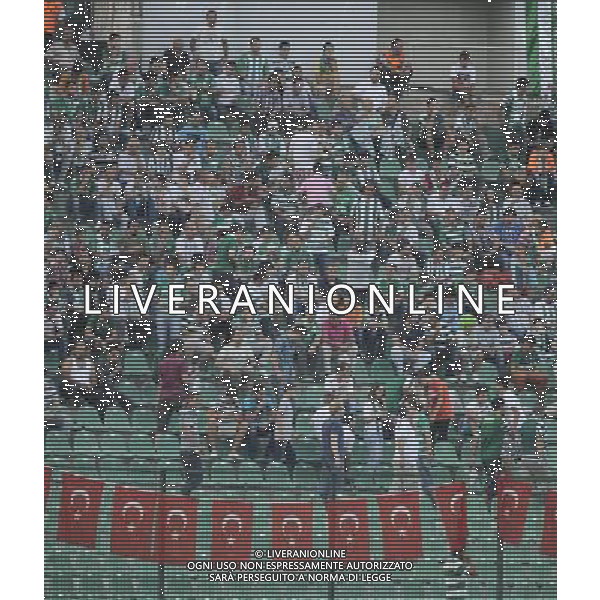 Europe League qualifying match between Bursaspor (Green) and Twente ( red ) at the Ataturk Stadium in Bursa, Turkey on 23.08.2012 Match Scored: Bursaspor 3 - Twente 1 Pictured: Bursaspor\'s fans. LIGA EUROPY UEFA SEZON 2012/2013 PILKA NOZNA FOT.SESKIM PHOTO/NEWSPIX.PL TURKEY, GERMANY, AUSTRIA AND UK OUT !!! --- Newspix.pl AG ALDO LIVERANI S A S ONLY ITALY *** Local Caption *** www.newspix.pl mail us: info@newspix.pl call us: 0048 022 23 22 222 --- Polish Picture Agency by Ringier Axel Springer Poland