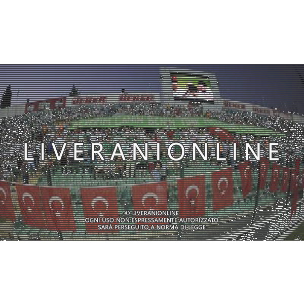 Europe League qualifying match between Bursaspor (Green) and Twente ( red ) at the Ataturk Stadium in Bursa, Turkey on 23.08.2012 Match Scored: Bursaspor 3 - Twente 1 Pictured: Bursaspor\'s fans. LIGA EUROPY UEFA SEZON 2012/2013 PILKA NOZNA FOT.SESKIM PHOTO/NEWSPIX.PL TURKEY, GERMANY, AUSTRIA AND UK OUT !!! --- Newspix.pl AG ALDO LIVERANI S A S ONLY ITALY *** Local Caption *** www.newspix.pl mail us: info@newspix.pl call us: 0048 022 23 22 222 --- Polish Picture Agency by Ringier Axel Springer Poland