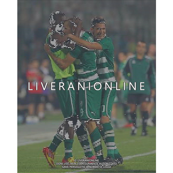 Europe League qualifying match between Bursaspor (Green) and Twente ( red ) at the Ataturk Stadium in Bursa, Turkey on 23.08.2012 Match Scored: Bursaspor 3 - Twente 1 Pictured: Bursaspor players celebrates after the score. LIGA EUROPY UEFA SEZON 2012/2013 PILKA NOZNA FOT.SESKIM PHOTO/NEWSPIX.PL TURKEY, GERMANY, AUSTRIA AND UK OUT !!! --- Newspix.pl AG ALDO LIVERANI S A S ONLY ITALY *** Local Caption *** www.newspix.pl mail us: info@newspix.pl call us: 0048 022 23 22 222 --- Polish Picture Agency by Ringier Axel Springer Poland
