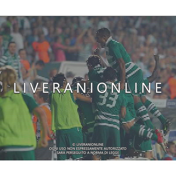 Europe League qualifying match between Bursaspor (Green) and Twente ( red ) at the Ataturk Stadium in Bursa, Turkey on 23.08.2012 Match Scored: Bursaspor 3 - Twente 1 Pictured: Bursaspor players celebrates after the score. LIGA EUROPY UEFA SEZON 2012/2013 PILKA NOZNA FOT.SESKIM PHOTO/NEWSPIX.PL TURKEY, GERMANY, AUSTRIA AND UK OUT !!! --- Newspix.pl AG ALDO LIVERANI S A S ONLY ITALY *** Local Caption *** www.newspix.pl mail us: info@newspix.pl call us: 0048 022 23 22 222 --- Polish Picture Agency by Ringier Axel Springer Poland