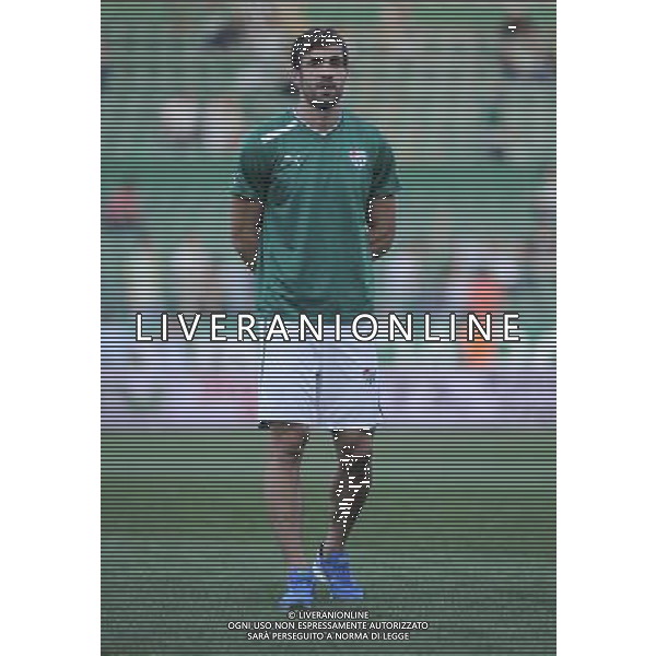 Europe League qualifying match between Bursaspor (Green) and Twente ( red ) at the Ataturk Stadium in Bursa, Turkey on 23.08.2012 Match Scored: Bursaspor 3 - Twente 1 Pictured: Omer Erdogan of Bursaspor. LIGA EUROPY UEFA SEZON 2012/2013 PILKA NOZNA FOT.SESKIM PHOTO/NEWSPIX.PL TURKEY, GERMANY, AUSTRIA AND UK OUT !!! --- Newspix.pl AG ALDO LIVERANI S A S ONLY ITALY *** Local Caption *** www.newspix.pl mail us: info@newspix.pl call us: 0048 022 23 22 222 --- Polish Picture Agency by Ringier Axel Springer Poland
