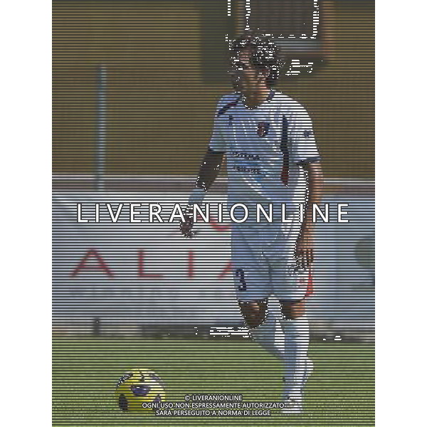 MONTICHIARI CALCIO 2012/2013 NELLA FOTO Giglieri AG ALDO LIVERANI S A S