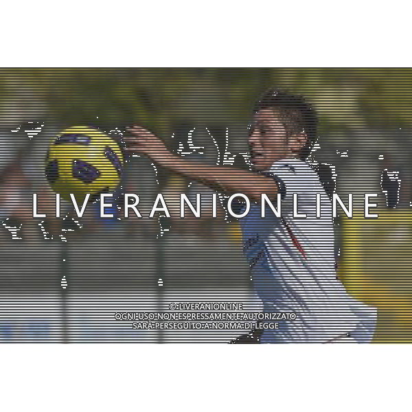 MONTICHIARI CALCIO 2012/2013 NELLA FOTO BANI AG ALDO LIVERANI S A S