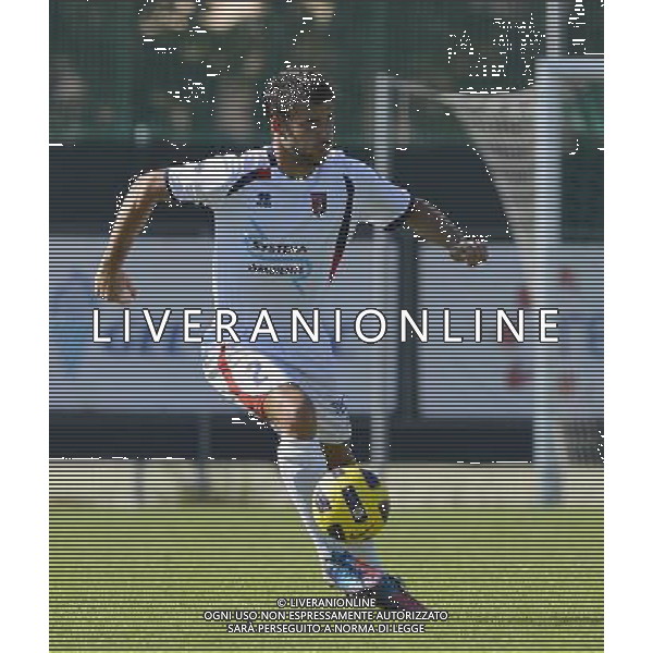 MONTICHIARI CALCIO 2012/2013 NELLA FOTO Martinelli AG ALDO LIVERANI S A S