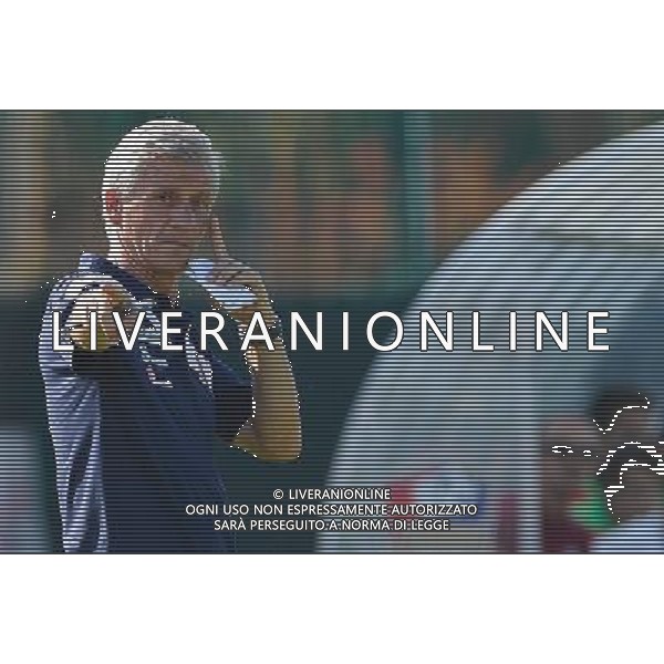 MONTICHIARI CALCIO 2012/2013 NELLA FOTO MARCO TORRESANI AG ALDO LIVERANI S A S