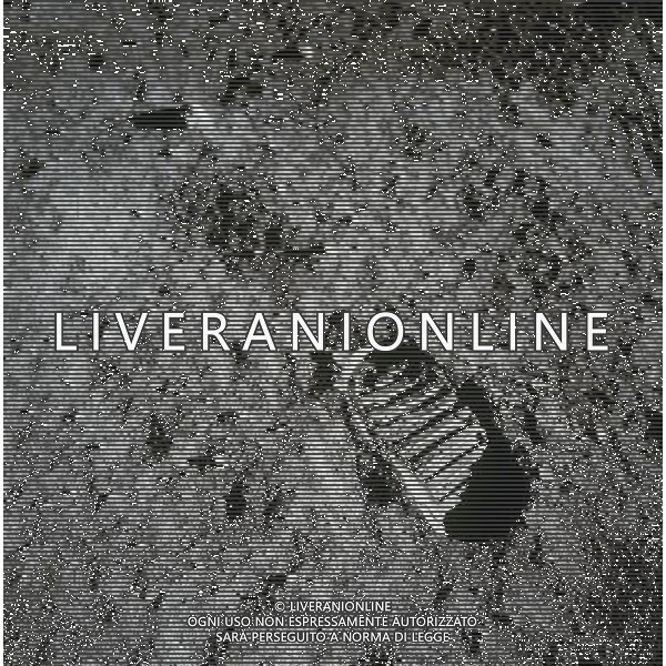 EARTH, THE MOON, Sea of Tranquility -- 20 Jul 1969 -- A close-up view of an astronaut\'s bootprint in the lunar soil, photographed with a 70mm lunar surface camera during the Apollo 11 extravehicular activity (EVA) on the Moon. While astronauts Neil A. Armstrong, commander, and Edwin E Aldrin Jr, lunar module pilot, descended in the Lunar Module (LM) \'Eagle\' to explore the Sea of Tranquility region of the Moon, astronaut Michael Collins, command module pilot, remained with the Command and Service Modules (CSM) \'Columbia\' in lunar orbit -- Picture by Lightroom Photos / NASA AG ALDO LIVERANI S A S ONLY ITALY