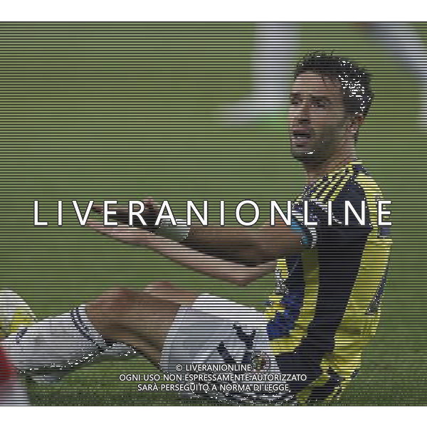 Champions League play off match between Fenerbahce and Spartak Moscow at Sukru Saracoglu Stadium in Istanbul, Turkey on 2012/08/29 Match Scored: Fenerbahce 1 - Spartak Moscow 1 Pictured: Gokhan Gonul of Fenerbahce. PHOTOSHOT/AG ALDO LIVERANI SAS - ITALY ONLY -