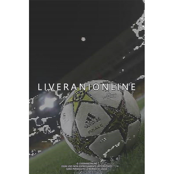 Champions League play off match between Fenerbahce and Spartak Moscow at Sukru Saracoglu Stadium in Istanbul, Turkey on 2012/08/29 Pictured: Ball PHOTOSHOT/AG ALDO LIVERANI SAS - ITALY ONLY -