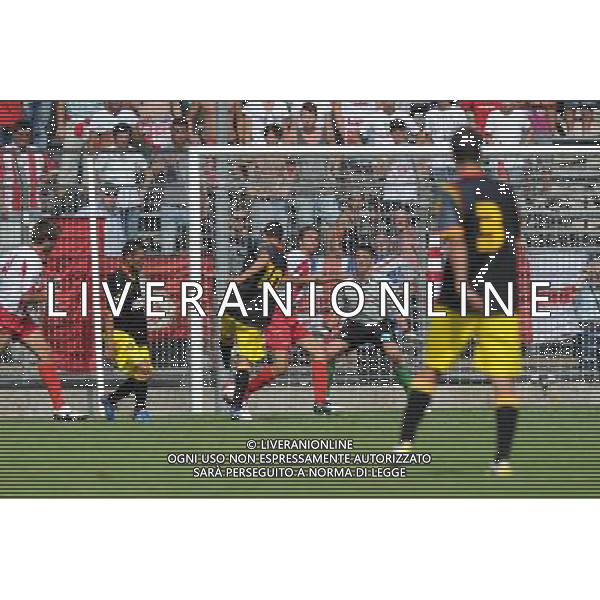 Campionato Lega PRO 1° Divisione girone A - 2° Giornata Cuneo 9-09-2012 Cuneo - Lecce nella foto: Bogliacino segna il 2 a 1 per il Lecce foto Roberto Garavaglia - ag. Aldo Liverani sas