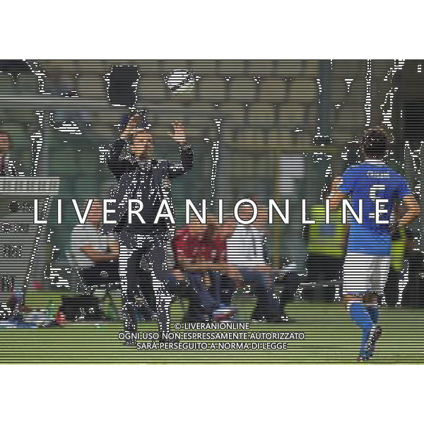 MODENA 11/09/2012 - ITALIA VS MALTA / NELLA FOTO: PRANDELLI E CASSANI - FOTO FRANCESCA SOLI / AGENZIA ALDO LIVERANI