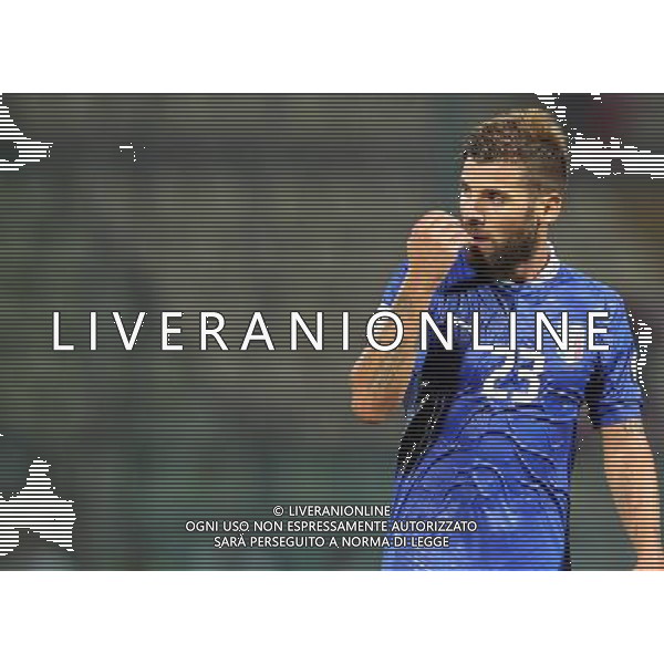 MODENA 11/09/2012 - ITALIA VS MALTA / NELLA FOTO: ANTONIO NOCERINO - FOTO FRANCESCA SOLI / AGENZIA ALDO LIVERANI