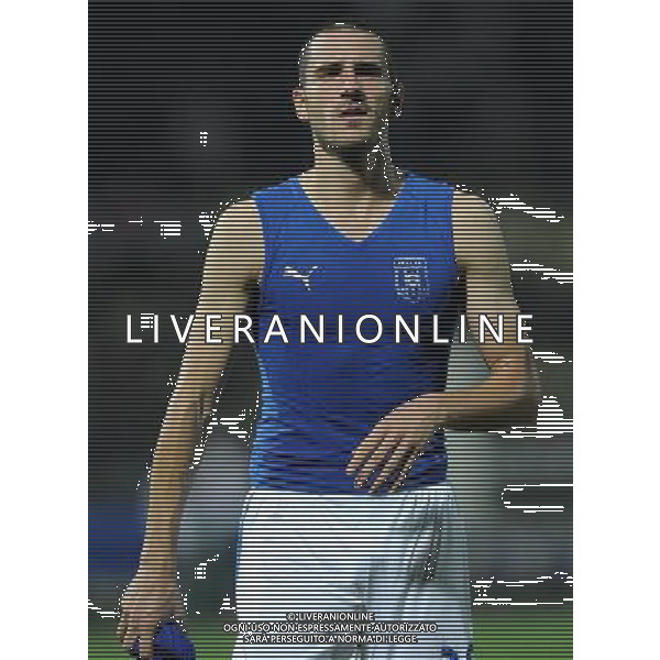 Qualificazioni ai Campionati Mondiali di Calcio Brasile FIFA 2014 Gruppo B Modena- 11.09.2012 Italia-Malta Nella Foto:Bonucci Leonardo /Ph.Vitez-Ag. Aldo Liverani