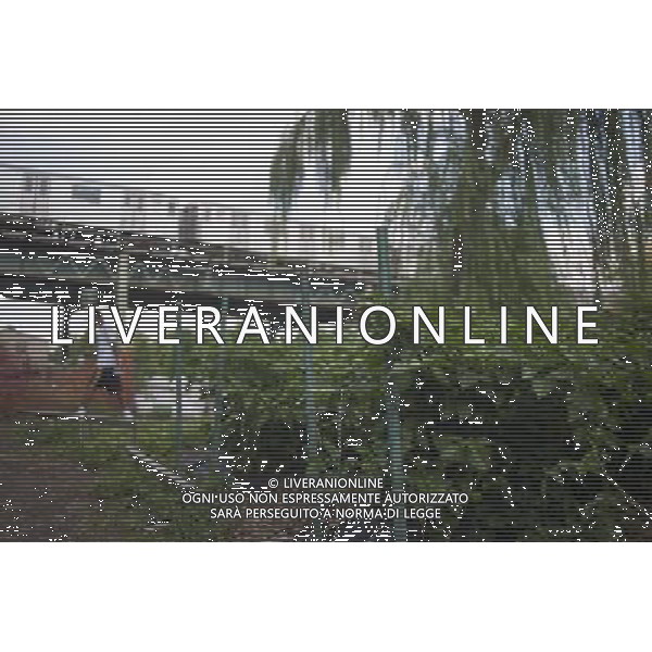 East New York Farms in Brooklyn in New York in the shadow of the elevated subway train on Saturday, September 1, 2012. The farm, which had its first season in 1998, promotes local sustainable agriculture with volunteer opportunities, a Community Supported Agriculture (CSA) program, a farmers\' market and a nine month internship program. (å Richard B. Levine) ©photoshot/AGENZIA ALDO LIVERANI SAS - ITALY ONLY - EDITORIAL USE ONLY
