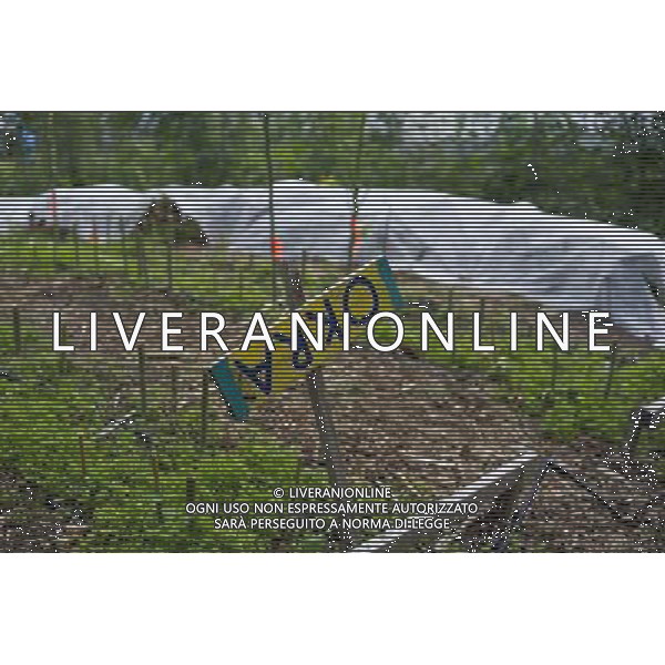 A sign for okra grown in East New York Farms in Brooklyn in New York on Saturday, September 1, 2012. The farm, which had its first season in 1998, promotes local sustainable agriculture with volunteer opportunities, a Community Supported Agriculture (CSA) program, a farmers\' market and a nine month internship program. (å Frances M. Roberts) ©photoshot/AGENZIA ALDO LIVERANI SAS - ITALY ONLY - EDITORIAL USE ONLY