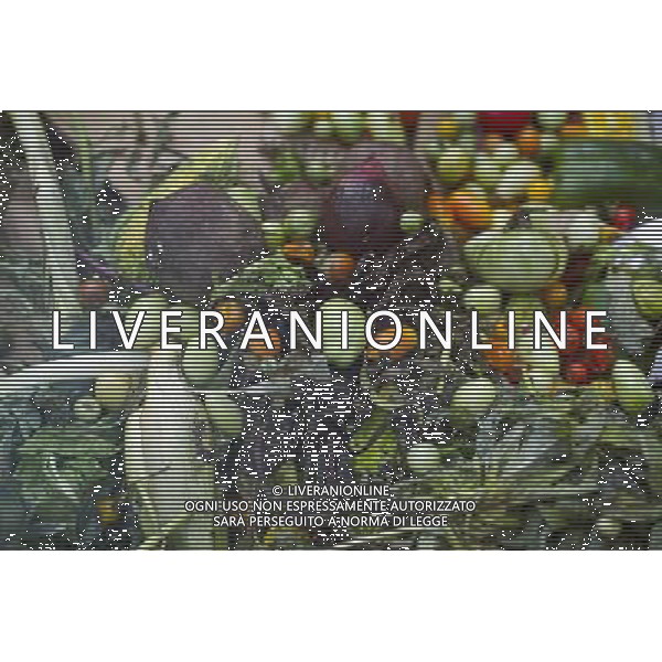 Vegetables being composted seen in East New York Farms in Brooklyn in New York on Saturday, September 1, 2012. The farm, which had its first season in 1998, promotes local sustainable agriculture with volunteer opportunities, a Community Supported Agriculture (CSA) program, a farmers\' market and a nine month internship program. (å Frances M. Roberts) ©photoshot/AGENZIA ALDO LIVERANI SAS - ITALY ONLY - EDITORIAL USE ONLY