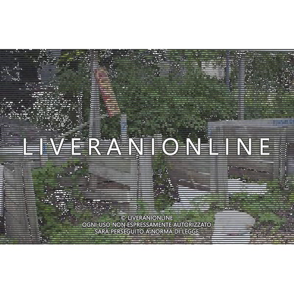 A sign for compost seen in East New York Farms in Brooklyn in New York on Saturday, September 1, 2012. The farm, which had its first season in 1998, promotes local sustainable agriculture with volunteer opportunities, a Community Supported Agriculture (CSA) program, a farmers\' market and a nine month internship program. (å Frances M. Roberts) ©photoshot/AGENZIA ALDO LIVERANI SAS - ITALY ONLY - EDITORIAL USE ONLY