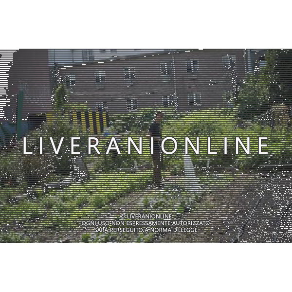 A gardener watering vegetables in East New York Farms in Brooklyn in New York on Saturday, September 1, 2012. The farm, which had its first season in 1998, promotes local sustainable agriculture with volunteer opportunities, a Community Supported Agriculture (CSA) program, a farmers\' market and a nine month internship program. (å Frances M. Roberts) ©photoshot/AGENZIA ALDO LIVERANI SAS - ITALY ONLY - EDITORIAL USE ONLY