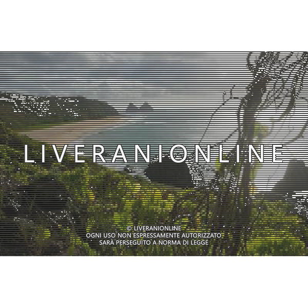 (120914) -- FERNANDO DE NORONHA, Sept. 14, 2012 () -- Photo taken on Sep. 12, 2012 shows a beach in Fernando de Noronha Archipelago of Brazil. (/Weng Xinyang)(ctt) ©photoshot/Agenzia Aldo Liverani Sas - ITALY ONLY - Veduta dell\'Arcipelago Fernando de Noronha del Brasile