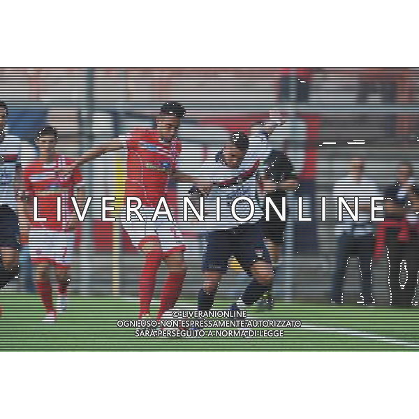 Ac Perugia 2012 2013 CAMPIONATO Lega Pro 1^ Divisione Perugia vs Gubbio Riproduzione vietata senza il consenso dell\'autore info@settoncephotoagency.com