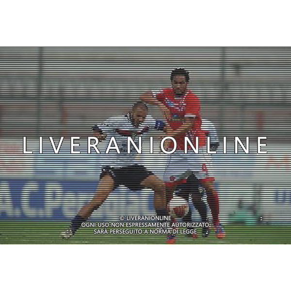 Ac Perugia 2012 2013 CAMPIONATO Lega Pro 1^ Divisione Perugia vs Gubbio Riproduzione vietata senza il consenso dell\'autore info@settoncephotoagency.com