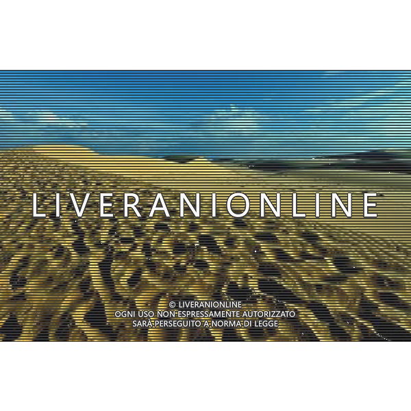 (120914) -- HANOI, Sept. 14, 2012 () -- Photo taken on Sept. 14, 2012 shows a scene of sand dunes in Bao Trang, also known as White Lake, in Vietnam\'s southern Binh Thuan province. Covering an area of about 70 hectares, Bao Trang is famous for its natural fresh water and sand dunes which attract many tourists. (/VNA)(zyw) ©photoshot/AGENZIA ALDO LIVERANI SAS - ITALY ONLY - Dune di sabbia nella zona di Bao Trang, nel sud del Vietnam famosa per la sua acqua naturale fresca e dune sabbiose che attirano molti turisti.