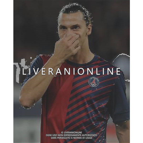UEFA Champions League 2012/2013 Gruppo A Parigi - 18.09.2012 Paris Saint Germain-Dinamo Kiev Nella Foto:Ibrahimovic Zlatan /Ph.Vitez-Ag. Aldo Liverani