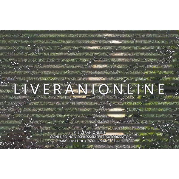 The green roof at P.S. 41 in the Greenwich Village neighborhood in New York on Friday, September 21, 2012. (Ã‚ Frances M. Roberts) Â©photoshot/Agenzia Aldo Liverani ITALY ONLY vedute citta\' di New York