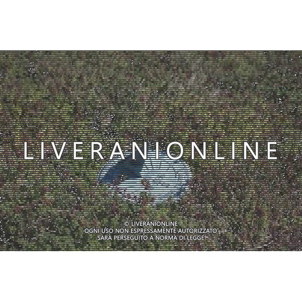 The green roof at P.S. 41 in the Greenwich Village neighborhood in New York on Friday, September 21, 2012. (Ã‚ Frances M. Roberts) Â©photoshot/Agenzia Aldo Liverani ITALY ONLY vedute citta\' di New York