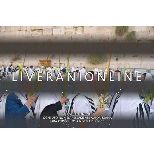 (121003) -- JERUSALEM, Oct. 3, 2012 () -- Jewish men attend the priest\'s blessing Cohanim prayer during the annual pilgrimage holiday of Sukkot, or the feast of the Tabernacles, at the Western Wall in Jerusalem\'s Old City on Oct. 3, 2012 . (/Yin Dongxun) ©photoshot/AGENZIA ALDO LIVERANI SAS - ITALY ONLY - Uomini ebrei in preghiera di benedizione durante il pellegrinaggio per la festa annuale di Sukkot, o la festa dei Tabernacoli, al Muro del Pianto a Gerusalemme Citta\' Vecchia il 3 ottobre 2012.