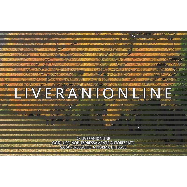 (121003) -- ST. PETERSBURG, Oct. 3, 2012 () -- Photo taken on Oct. 3, 2012 shows the view of the Peterhof Palace near St. Petersburg, Russia. (/Lu Jinbo) AG ALDO LIVERANI S A S ONLY ITALY