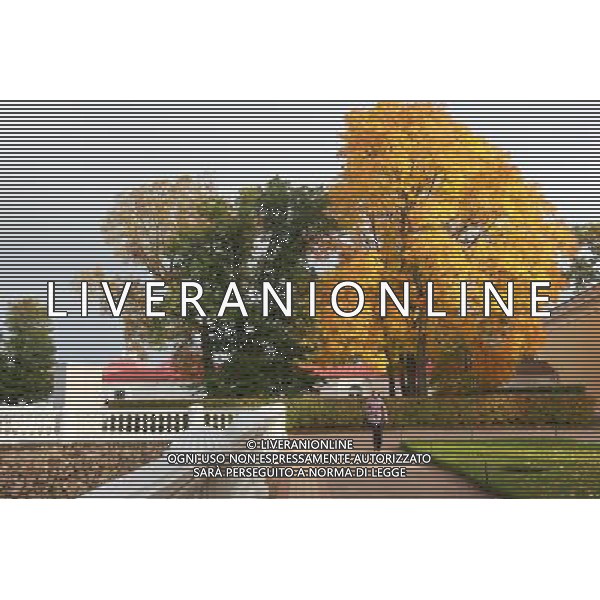 (121003) -- ST. PETERSBURG, Oct. 3, 2012 () -- Photo taken on Oct. 3, 2012 shows the view of the Peterhof Palace near St. Petersburg, Russia. (/Lu Jinbo) AG ALDO LIVERANI S A S ONLY ITALY