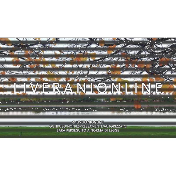 (121003) -- ST. PETERSBURG, Oct. 3, 2012 () -- Photo taken on Oct. 3, 2012 shows the view of the Peterhof Palace near St. Petersburg, Russia. (/Lu Jinbo) AG ALDO LIVERANI S A S ONLY ITALY