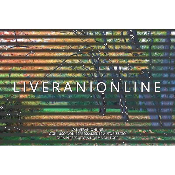 (121003) -- ST. PETERSBURG, Oct. 3, 2012 () -- Photo taken on Oct. 3, 2012 shows the view of the Peterhof Palace near St. Petersburg, Russia. (/Lu Jinbo) AG ALDO LIVERANI S A S ONLY ITALY