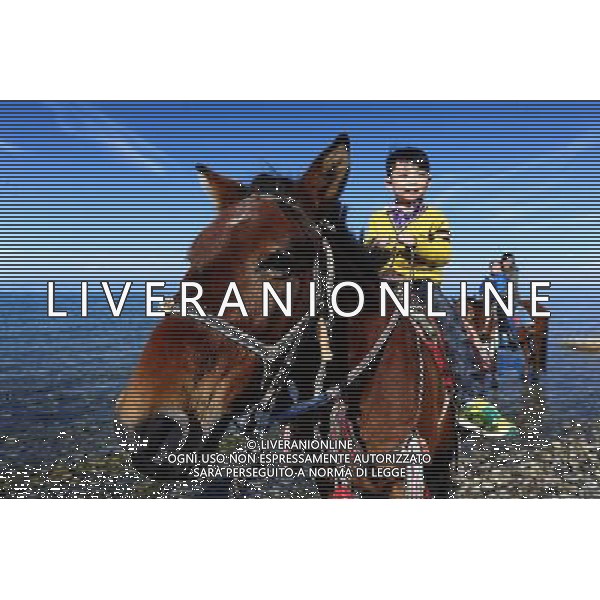 (121004) -- QINGHAI, Oct. 4, 2012 () -- A child riding on a horse poses for photos at the Qinghai Lake in northwest China\'s Qinghai Province, Oct. 3, 2012. The Qinghai Lake, the largest inland salt-water lake in China renowned for the ecological and natural reserve, attracted tourists from home and abroad during the National Day holiday. (/Zhang Hongxiang) (mp) AG ALDO LIVERANI S A S ONLY ITALY