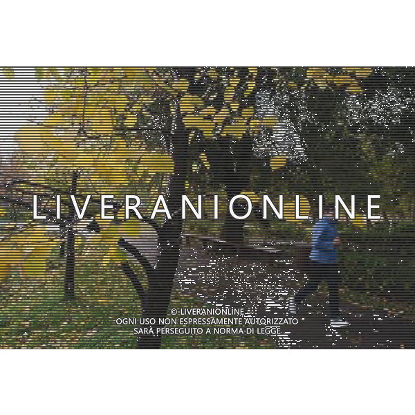 (121007) -- MOSCOW, Oct. 7, 2012 () -- A resident jogs during the autumn season in Moscow, Russia, Oct. 7, 2012. (/Jiang Kehong) ©photoshot/AGENZIA ALDO LIVERANI SAS - ITALY ONLY - Autunno - Il paesaggio durante la stagione autunnale a Mosca, Russia, 7 Ottobre 2012.