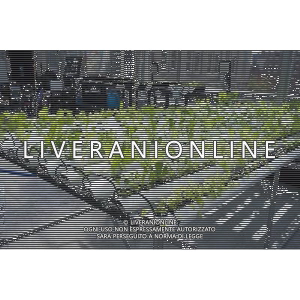 Hydroponic farming is seen on the rooftop Greenhouse Project classroom at the Manhattan School for Children in New York on Saturday, October 6, 2012. The greenhouse collects rainwater for irrigation growing their crops without carbon emissions or waste. The sustainable urban farm was created by the New York Sun Works Center. The lab teaches the students about sustainable food production and environmental science. (å Richard B. Levine) ©photoshot/AGENZIA ALDO LIVERANI SAS - ITALY ONLY - EDITORIAL USE ONLY