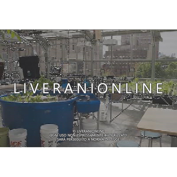 Hydroponic farming is seen on the rooftop Greenhouse Project classroom at the Manhattan School for Children in New York on Saturday, October 6, 2012. The greenhouse collects rainwater for irrigation growing their crops without carbon emissions or waste. The sustainable urban farm was created by the New York Sun Works Center. The lab teaches the students about sustainable food production and environmental science. (å Richard B. Levine) ©photoshot/AGENZIA ALDO LIVERANI SAS - ITALY ONLY - EDITORIAL USE ONLY