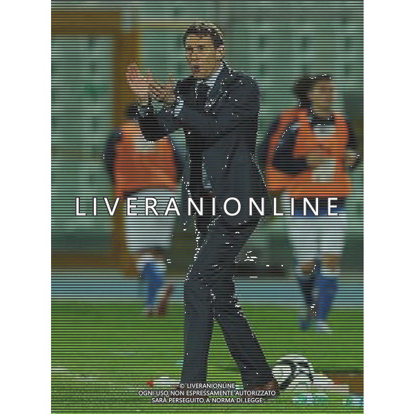 Qualificazioni ai Campionati Europei Under 21 Play-off Andata Pescara - 12.10.2012 Italia-Svezia Nella Foto:Ericson /Ph.Vitez-Ag. Aldo Liverani