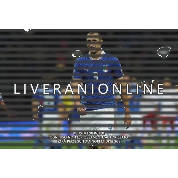 Qualificazioni ai Campionati Mondiali di Calcio Brasile FIFA 2014 Gruppo B Milano- 16.10.2012 Italia-Danimarca Nella Foto:Chiellini Giorgio /Ph.Vitez-Ag. Aldo Liverani