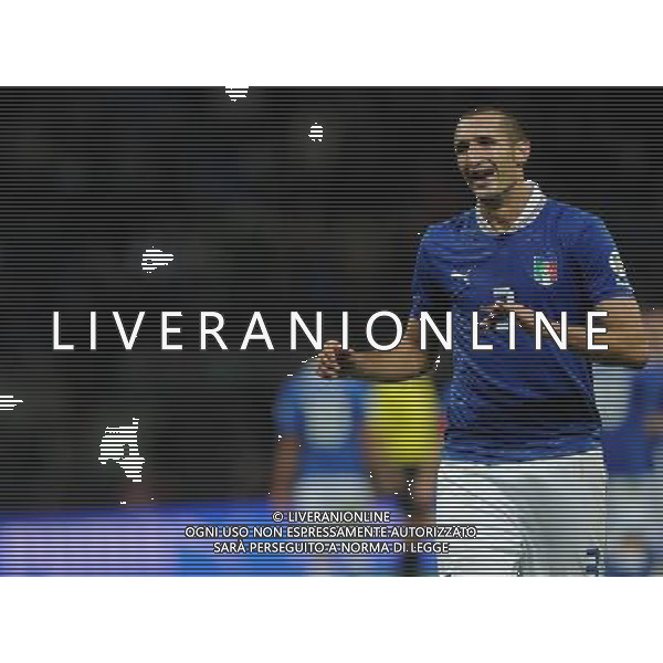 Qualificazioni ai Campionati Mondiali di Calcio Brasile FIFA 2014 Gruppo B Milano- 16.10.2012 Italia-Danimarca Nella Foto:Chiellini Giorgio /Ph.Vitez-Ag. Aldo Liverani