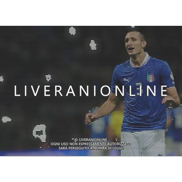 Qualificazioni ai Campionati Mondiali di Calcio Brasile FIFA 2014 Gruppo B Milano- 16.10.2012 Italia-Danimarca Nella Foto:Chiellini Giorgio /Ph.Vitez-Ag. Aldo Liverani