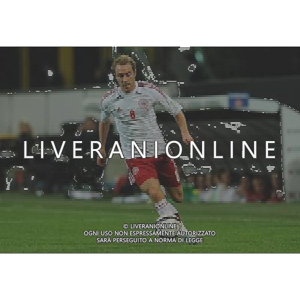 Qualificazioni ai Campionati Mondiali di Calcio Brasile FIFA 2014 Gruppo B Milano- 16.10.2012 Italia-Danimarca Nella Foto:Eriksen Crhistian /Ph.Vitez-Ag. Aldo Liverani