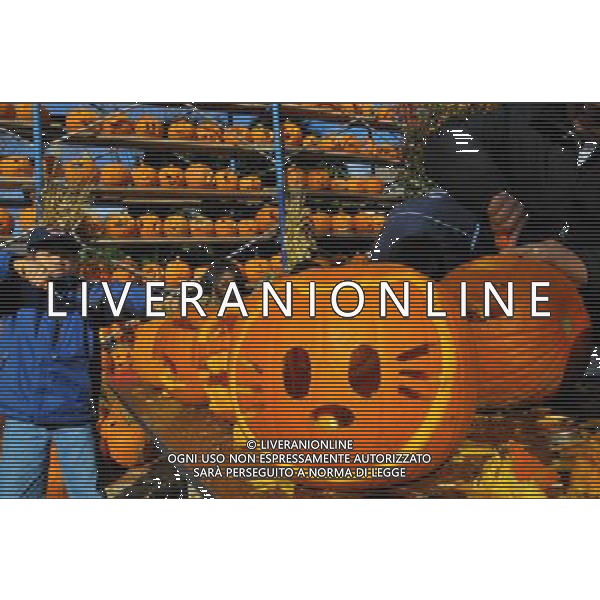 (121021) -- CHICAGO, Oct. 21, 2012 () -- Carved pumpkins are seen during the 3rd Pumpkin Fest in Highwood, the United States, on Oct. 20, 2012. At the festival, about 40,000 carved pumpkins were lit, expecting to beat Guinness World Record for the most people carving pumpkins at one time. (/Jiang Xintong)(zyw) ©photoshot/AGENZIA ALDO LIVERANI SAS - ITALY ONLY - La 3a Festa della zucca ad Highwood, Stati Uniti, il 20 ottobre 2012 con circa 40.000 zucche intagliate, illuminate, in attesa di battere il Guinness World Record per il maggior numero di persone che intagliano zucche in una sola volta.