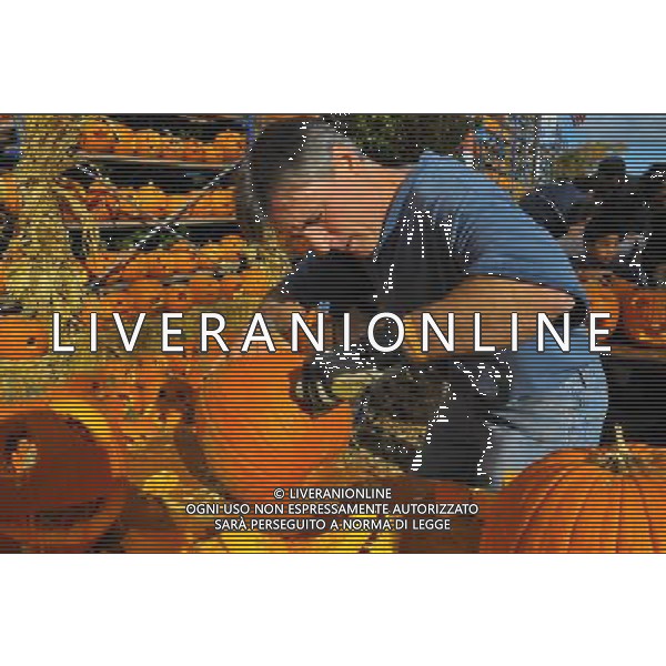 (121021) -- CHICAGO, Oct. 21, 2012 () -- A man carves a pumpkin during the 3rd Pumpkin Fest in Highwood, the United States, on Oct. 20, 2012. At the festival, about 40,000 carved pumpkins were lit, expecting to beat Guinness World Record for the most people carving pumpkins at one time. (/Jiang Xintong)(zyw) ©photoshot/AGENZIA ALDO LIVERANI SAS - ITALY ONLY - La 3a Festa della zucca ad Highwood, Stati Uniti, il 20 ottobre 2012 con circa 40.000 zucche intagliate, illuminate, in attesa di battere il Guinness World Record per il maggior numero di persone che intagliano zucche in una sola volta.