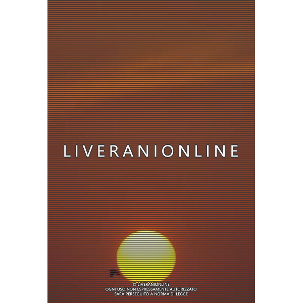 (121020) -- MULTAN, Oct. 20, 2012 () -- A bird flies during sunset time in central Pakistan\'s Multan on Oct. 20, 2012. Multan, one of the oldest cities in the Asian subcontinent and known as the City of Saints, is located in central Pakistan some 562 km from the capital Islamabad. (/Ahmad Kamal) ©photoshot/AGENZIA ALDO LIVERANI SAS - ITALY ONLY - Un uccello vola davanti al sole al tramonto a Multan centrale del Pakistan il 20 ottobre 2012.