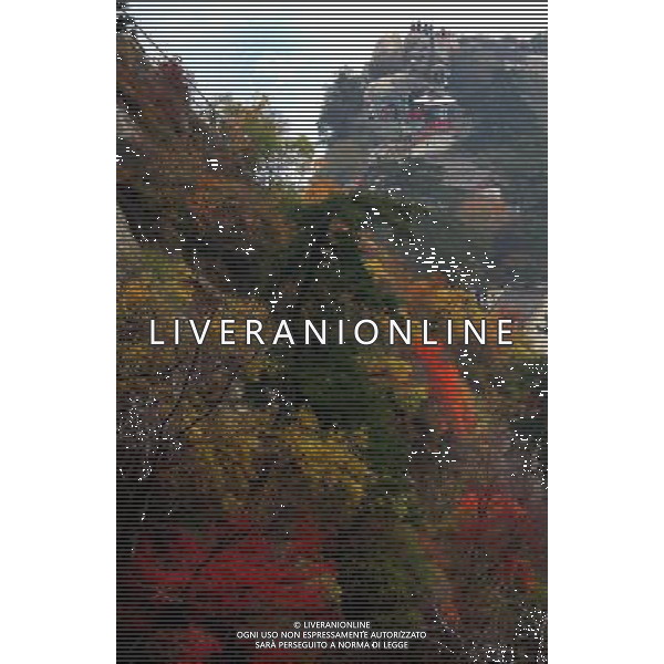 (121021) -- XI\'AN, Oct. 21, 2012 () -- Tourists enjoy the scenery of Huashan Mountain in Huayin, northwest China\'s Shaanxi Province, Oct. 21, 2012. (/Tao Ming) (wjq) ©photoshot/AGENZIA ALDO LIVERANI SAS - ITALY ONLY - Veduta del paesaggio autunnale della montagna in Huashan Huayin, nord-ovest della Cina provincia dello Shaanxi