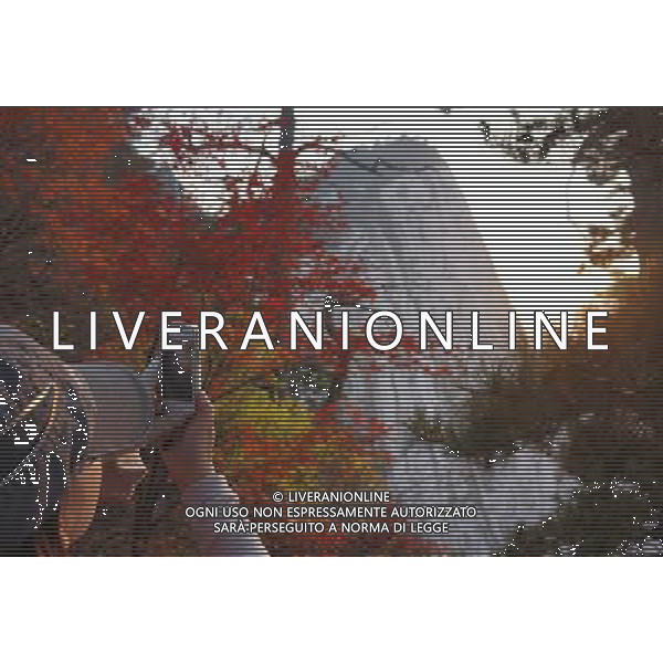 (121021) -- XI\'AN, Oct. 21, 2012 () -- A woman takes pictures of red leaves with her cellphone at the foot of Huashan Mountain in Huayin, northwest China\'s Shaanxi Province, Oct. 20, 2012. (/Tao Ming) (wjq) ©photoshot/AGENZIA ALDO LIVERANI SAS - ITALY ONLY - Veduta del paesaggio autunnale della montagna in Huashan Huayin, nord-ovest della Cina provincia dello Shaanxi